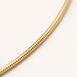 Minimal Siena Gold Chain Necklace