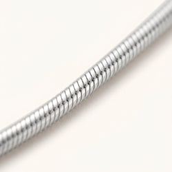 Minimal Siena Silver Chain Necklace